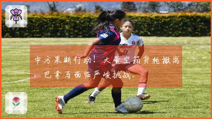 中方果断行动！大量空箱货轮撤离，巴拿马面临严峻挑战。